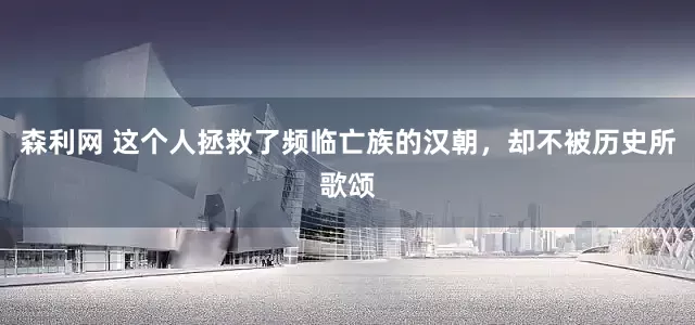 森利网 这个人拯救了频临亡族的汉朝，却不被历史所歌颂