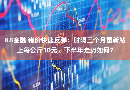 K8金融 猪价快速反弹：时隔三个月重新站上每公斤10元，下半年走势如何？
